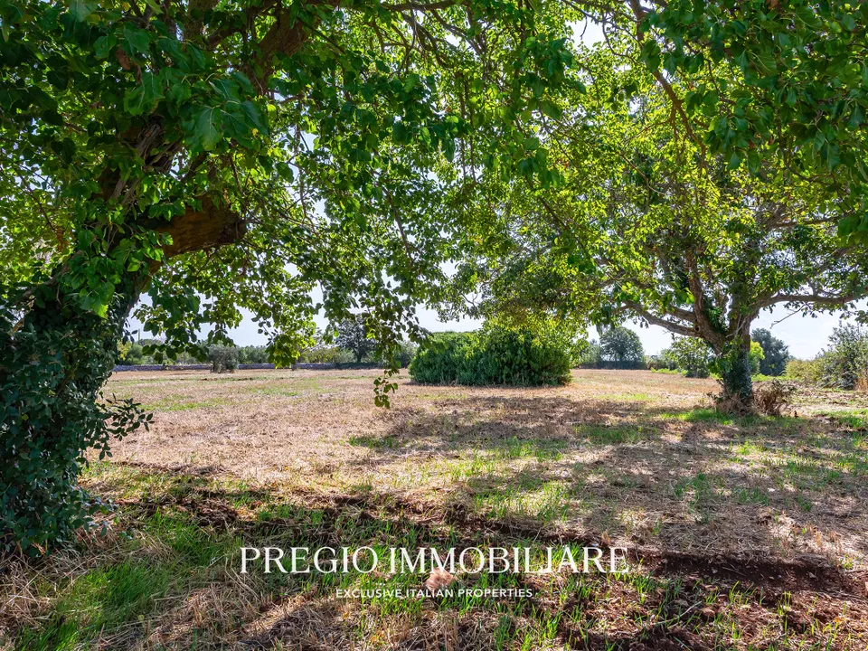 Herregård i Martina Franca, Taranto - bilde 2