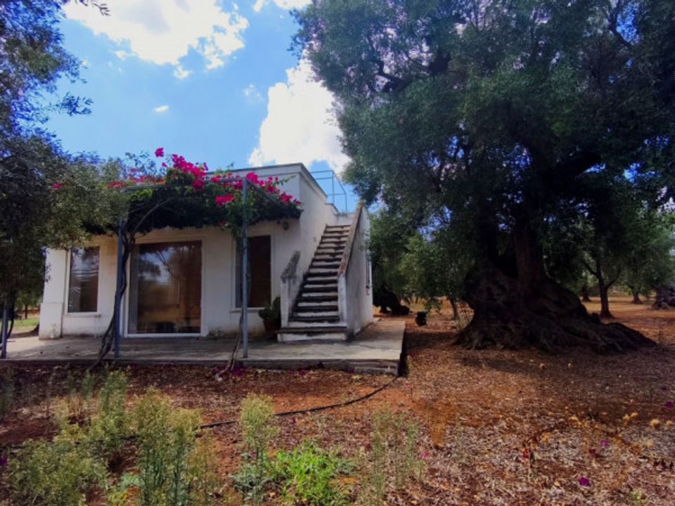 Villa i Fasano, Brindisi - foto 3
