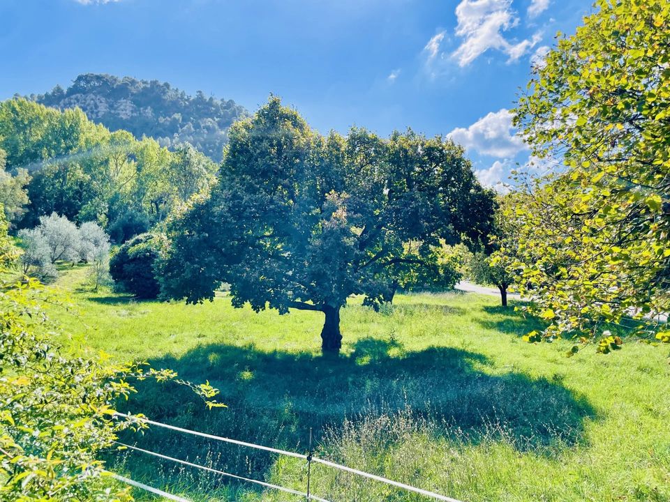 Helårsgrund i Buis-les-Baronnies, Drome - foto 5