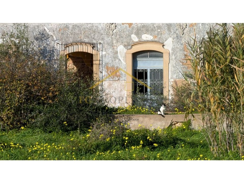 Villa i Moncarapacho, Faro - foto 4