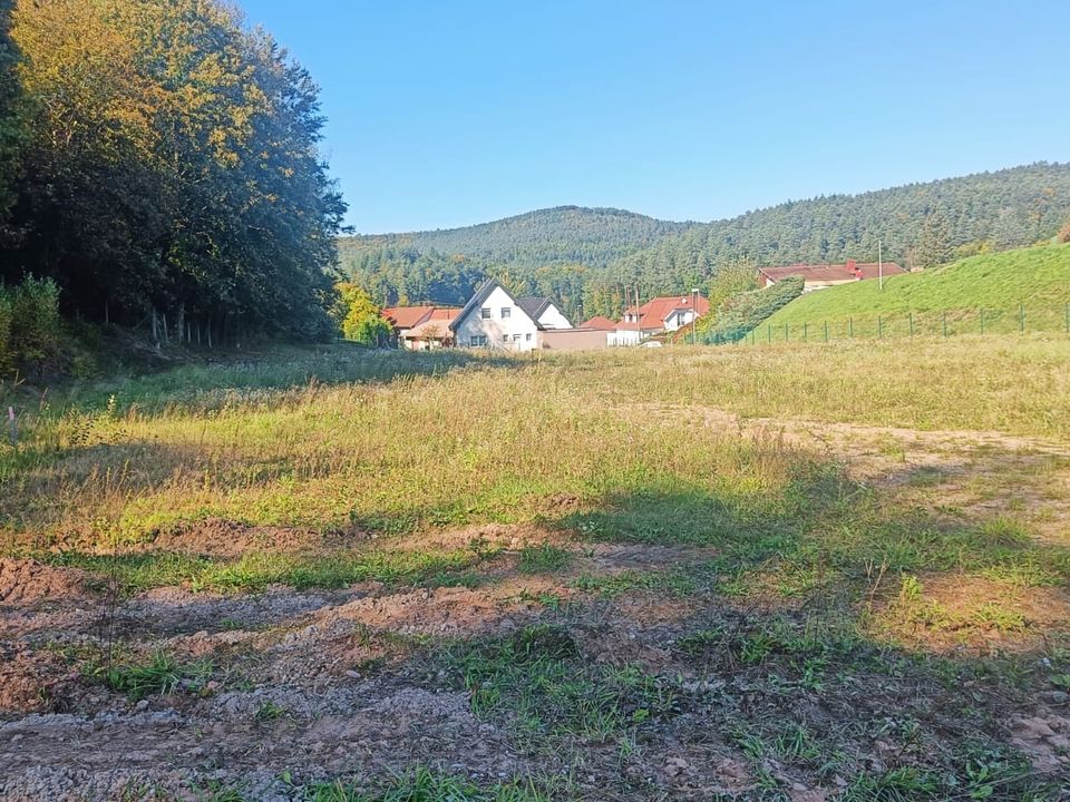 Helårsgrund i Reipertswiller, Bas-Rhin - foto 2