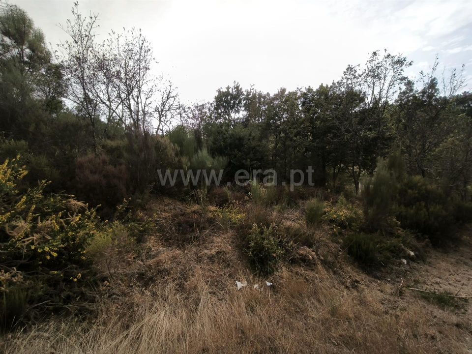 Terra a Nelas, Viseu - foto 5