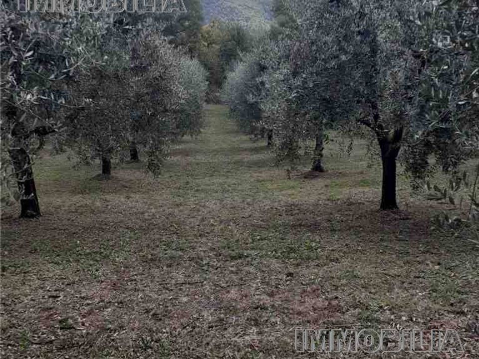 Helårsgrund i Monterchi, Arezzo - foto 3