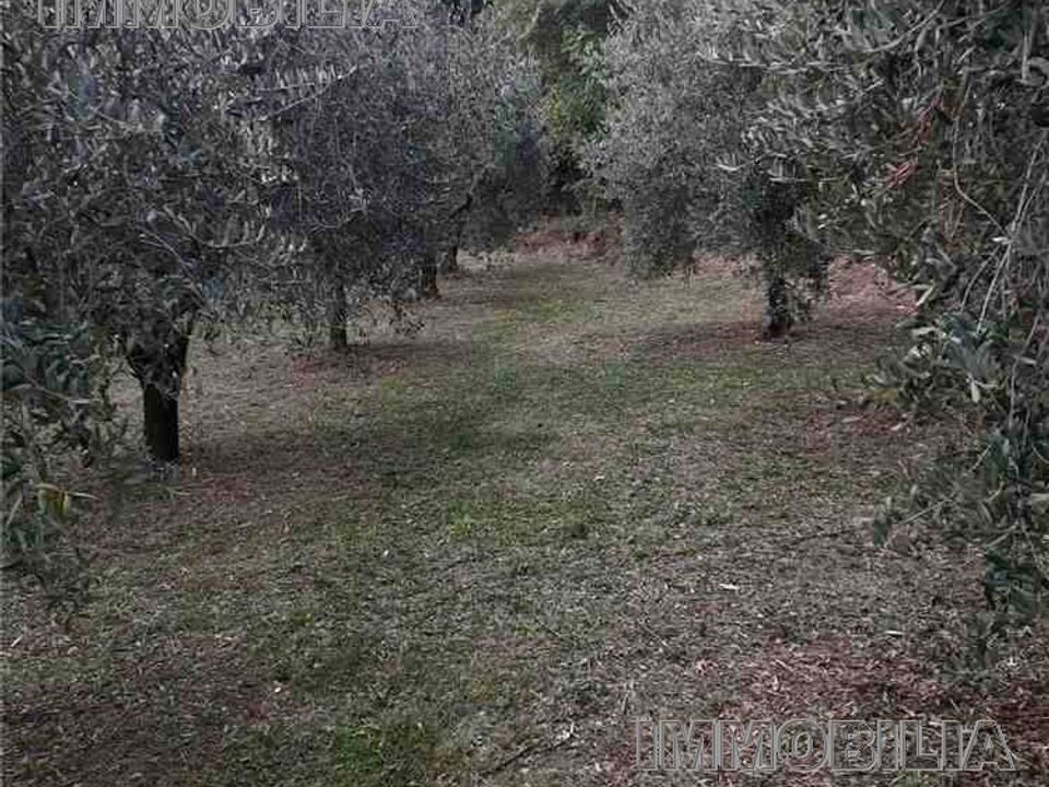Helårsgrund i Monterchi, Arezzo - foto 4