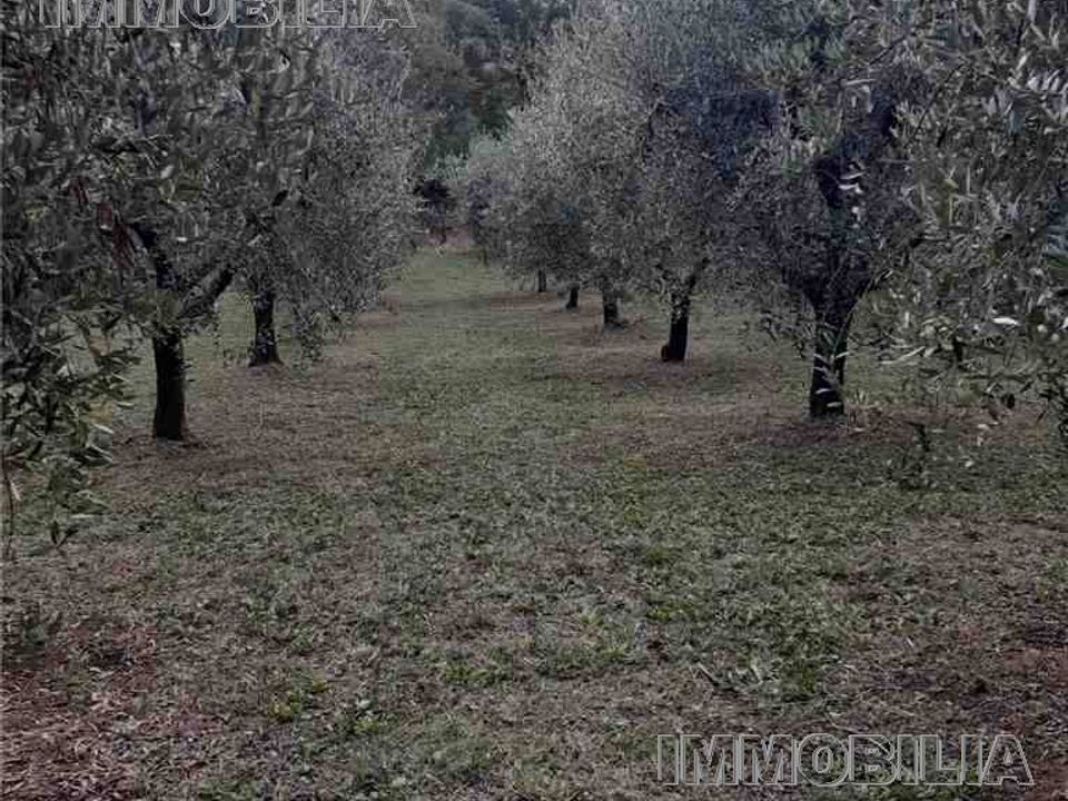 Helårsgrund i Monterchi, Arezzo - foto 5