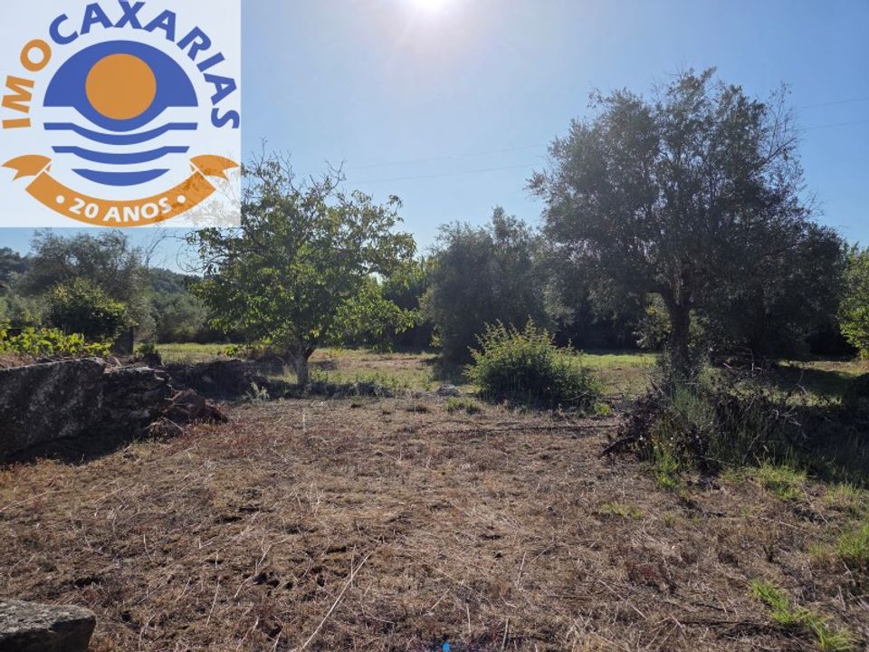 Helårsgrund i Ourem, Santarem - foto 5