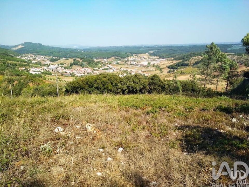 Helårsgrund i Rio Maior, Santarem - foto 3