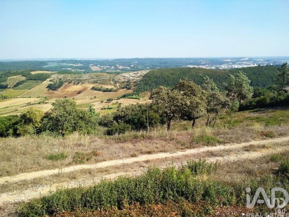 Helårsgrund i Rio Maior, Santarem - foto 4