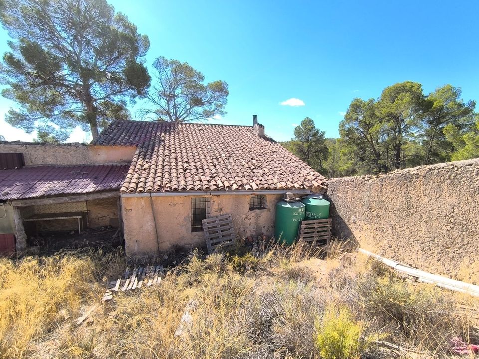 Landejendom i Caudete, Albacete - foto 3