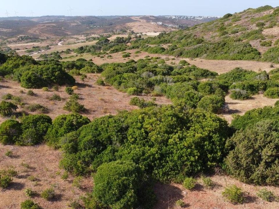 Helårsgrund i Sagres, Faro - foto 5