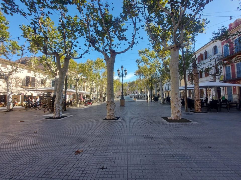 Helårsgrund i Sa Pobla, Mallorca - foto 1