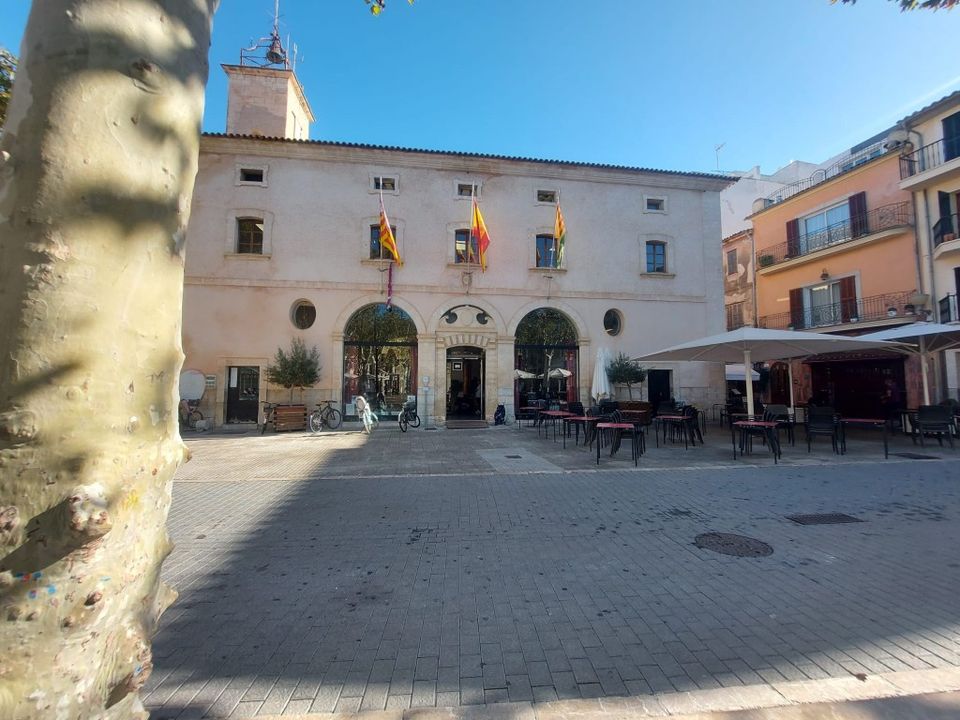 Helårsgrund i Sa Pobla, Mallorca - foto 2