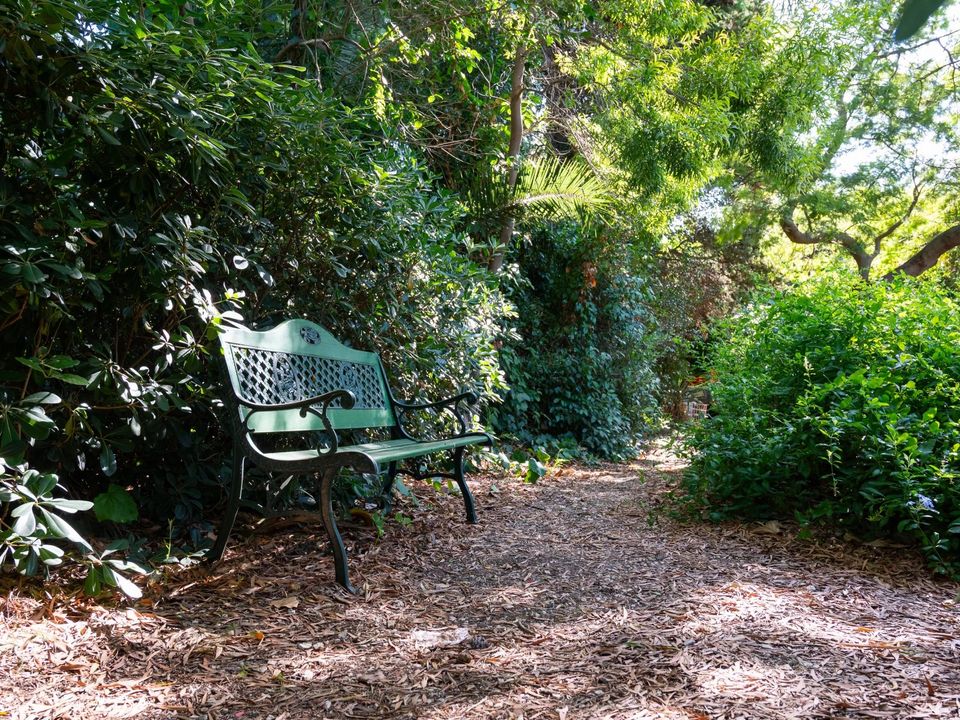 Villa i Carqueiranne, Var - foto 4