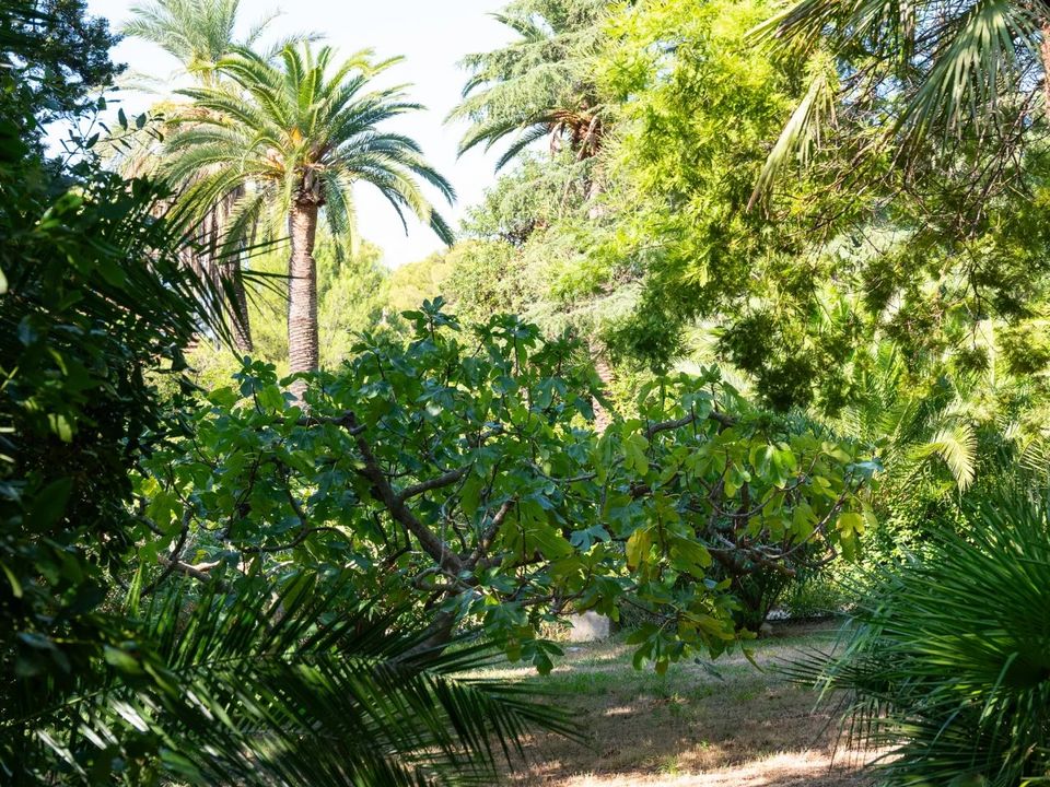 Villa i Carqueiranne, Var - foto 5