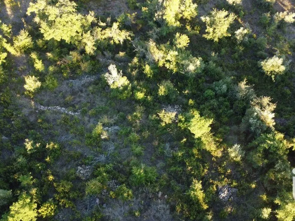 Helårsgrund i Ferreira do Zezere, Santarem - foto 3