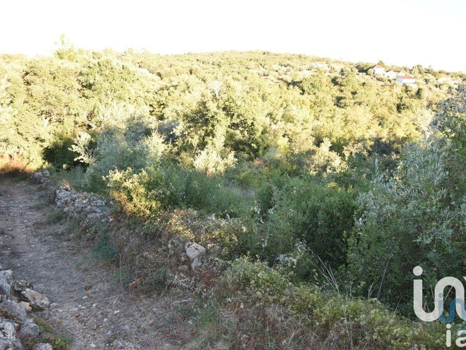 Helårsgrund i Ferreira do Zezere, Santarem - foto 5