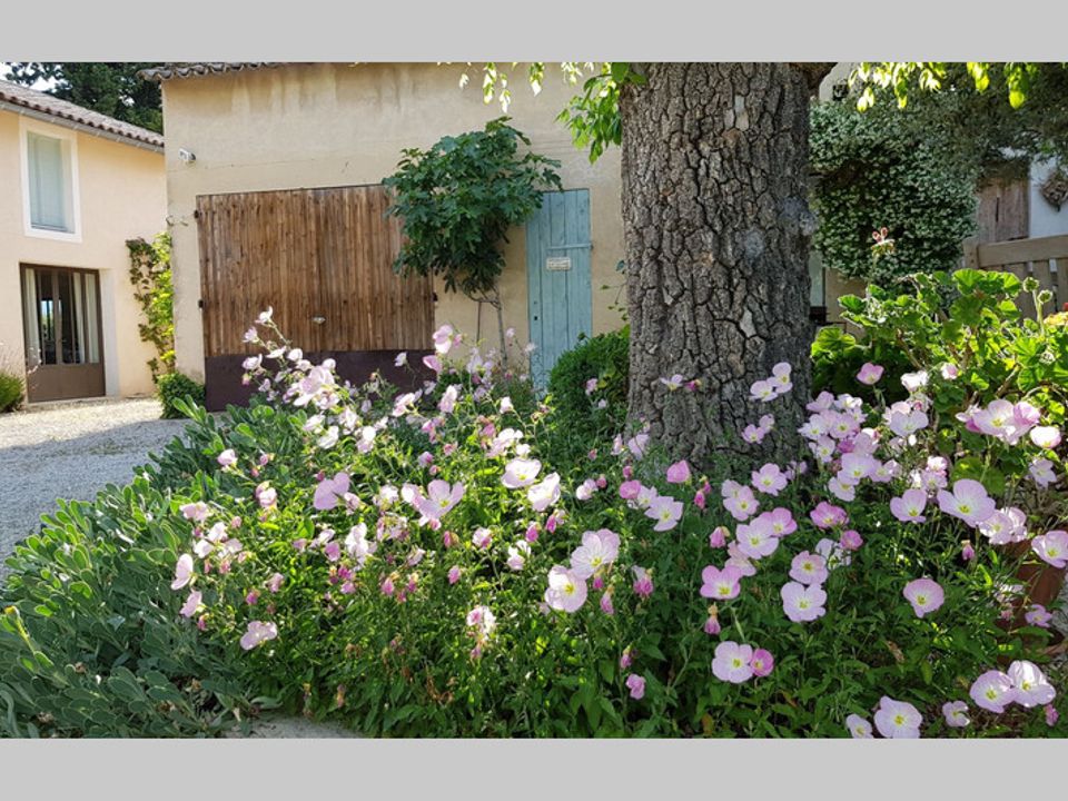 Villa i Caromb, Vaucluse - foto 5