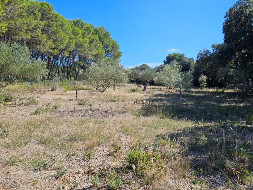 Land in Vendémian, Herault - photo 2