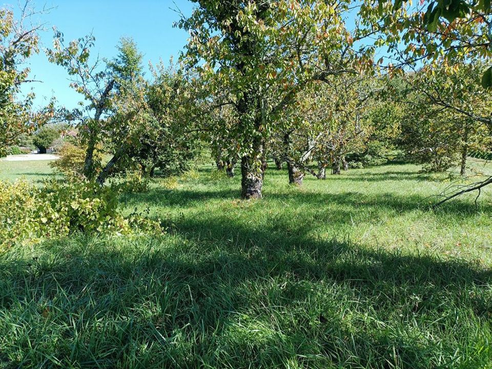 Grond in Saint-Vincent-Rive-d'Olt, Lot - foto 2