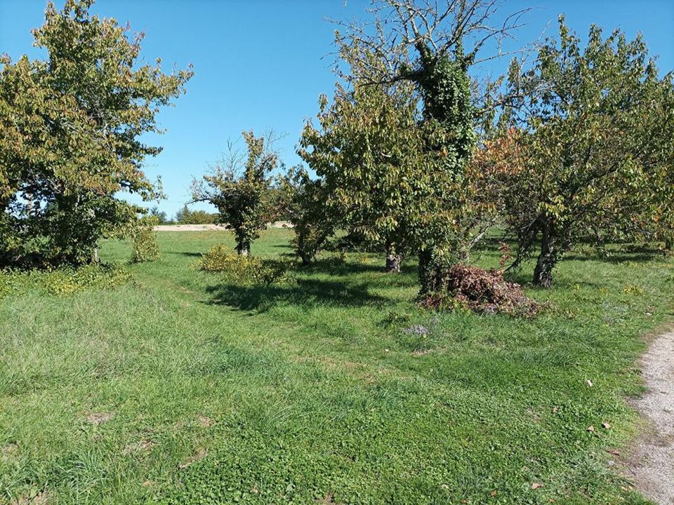 Grond in Saint-Vincent-Rive-d'Olt, Lot - foto 4