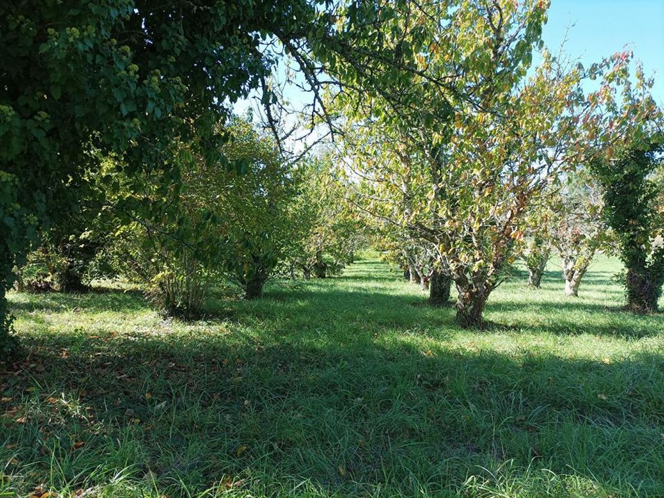 Grond in Saint-Vincent-Rive-d'Olt, Lot - foto 5