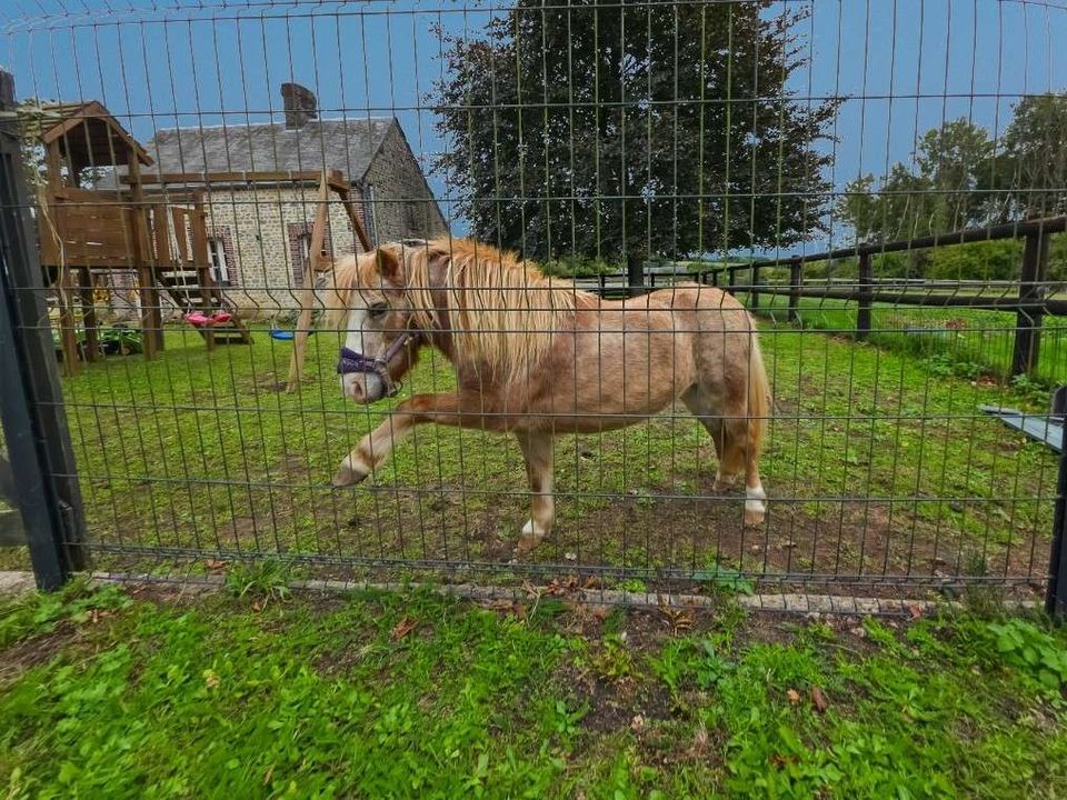 Villa i Brullemail, Orne - foto 3