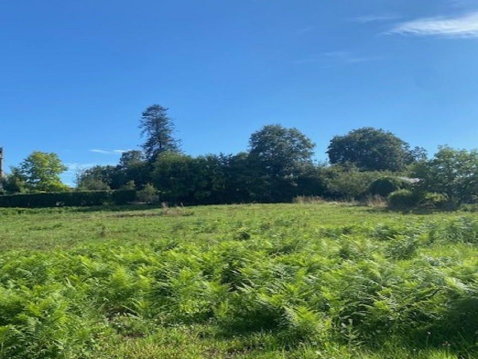Helårsgrund i Saint-Guyomard, Morbihan - foto 3