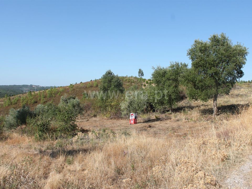 Helårsgrund i Proenca-a-Nova, Castelo Branco - foto 1