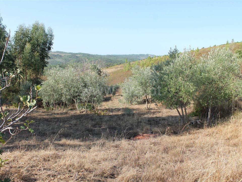 Helårsgrund i Proenca-a-Nova, Castelo Branco - foto 2