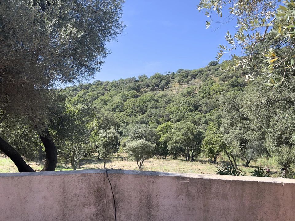 Villa i Grimaud, Var - foto 4