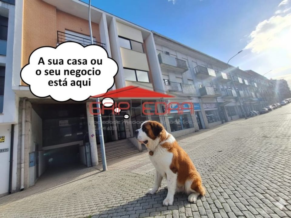 Erhvervsejendom i Viseu, Viseu - foto 2