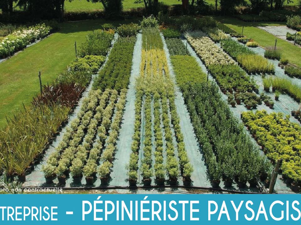 Erhvervsejendom i La Roche-sur-Yon, Vendee - foto 2