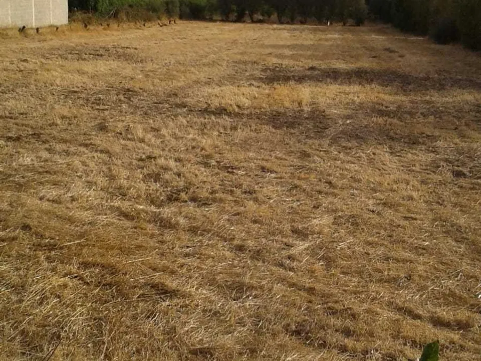 Erhvervsejendom i San Sperate, Sud Sardegna - foto 1