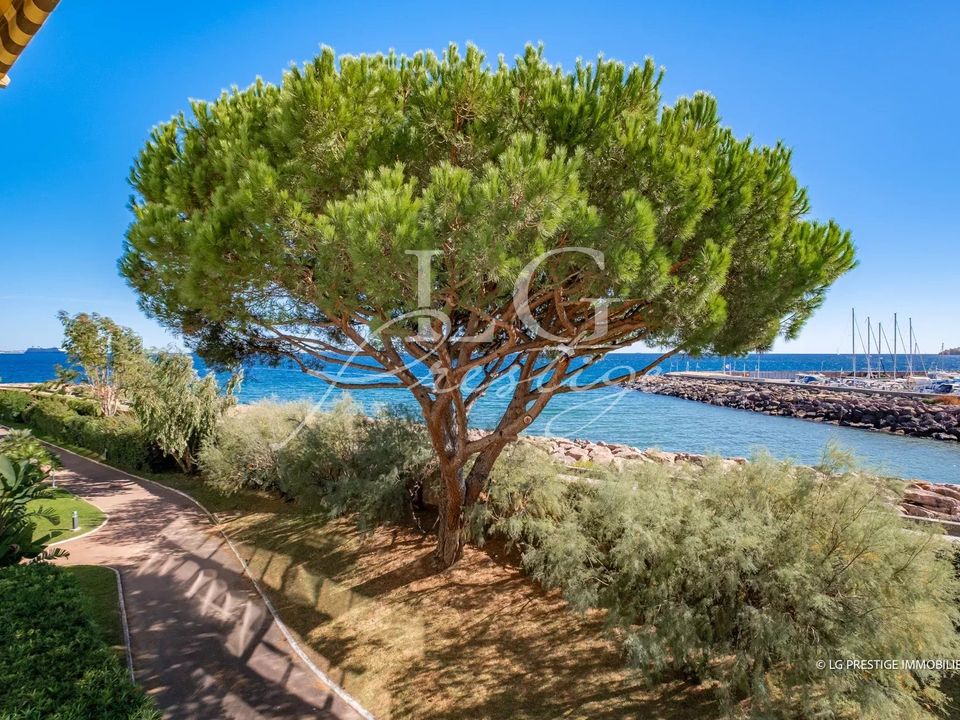 Lejlighed i Mandelieu-la-Napoule, Alpes-Maritimes - foto 5