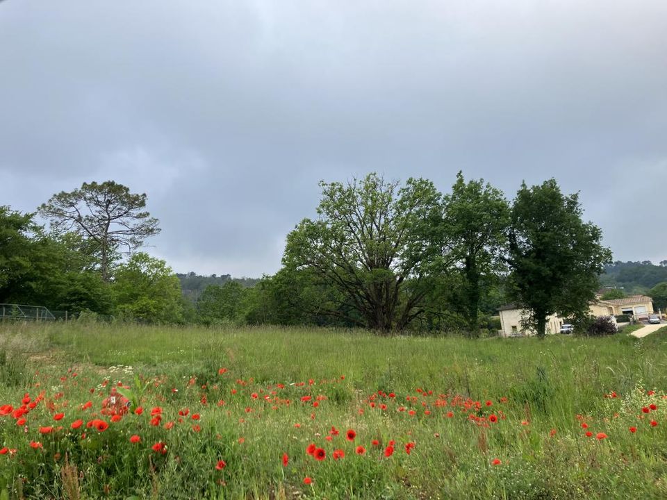 Villa a Saint-Laurent-sur-Manoire, Dordogne - foto 5