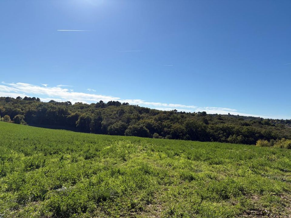 Helårsgrund i Perigueux, Dordogne - foto 3