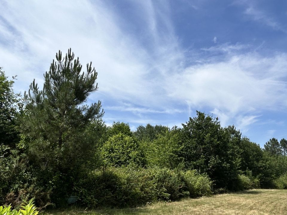 Villa a Négrondes, Dordogne - foto 5