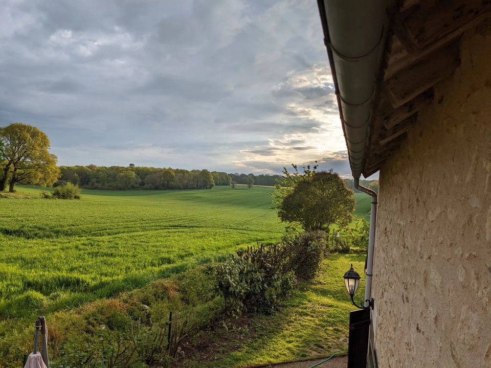 Villa i Bethines, Vienne - foto 2