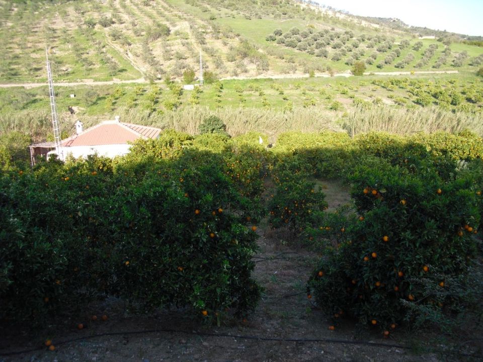 Villa i Tolox, Malaga - foto 1