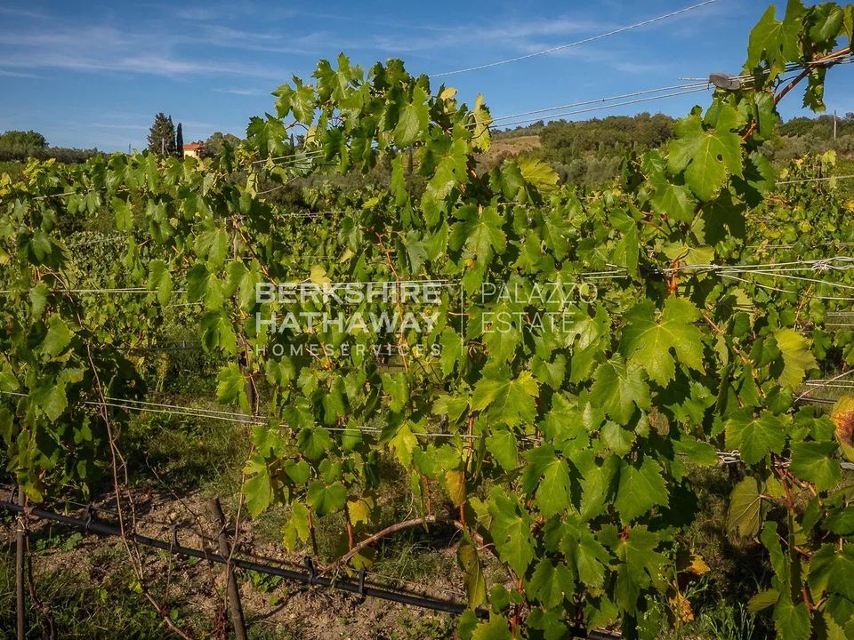 Villa i Manciano, Grosseto - foto 1