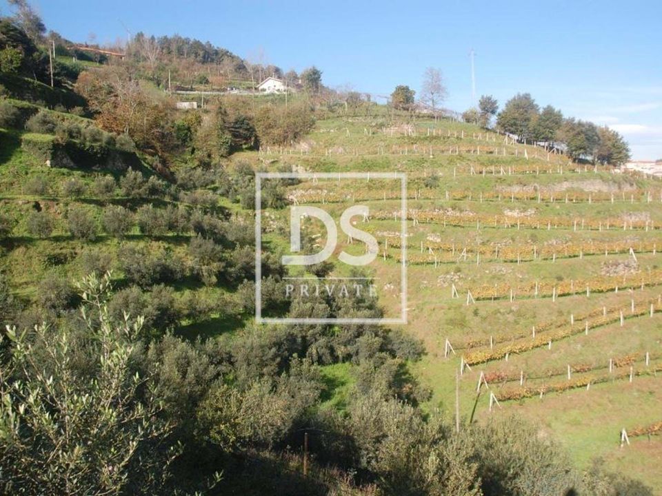 Farm hus i Marco de Canaveses, Porto - foto 4