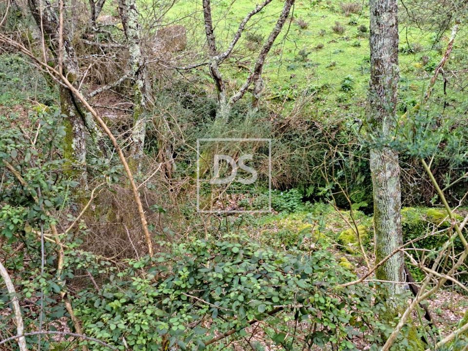 Farm hus i Marco de Canaveses, Porto - foto 3