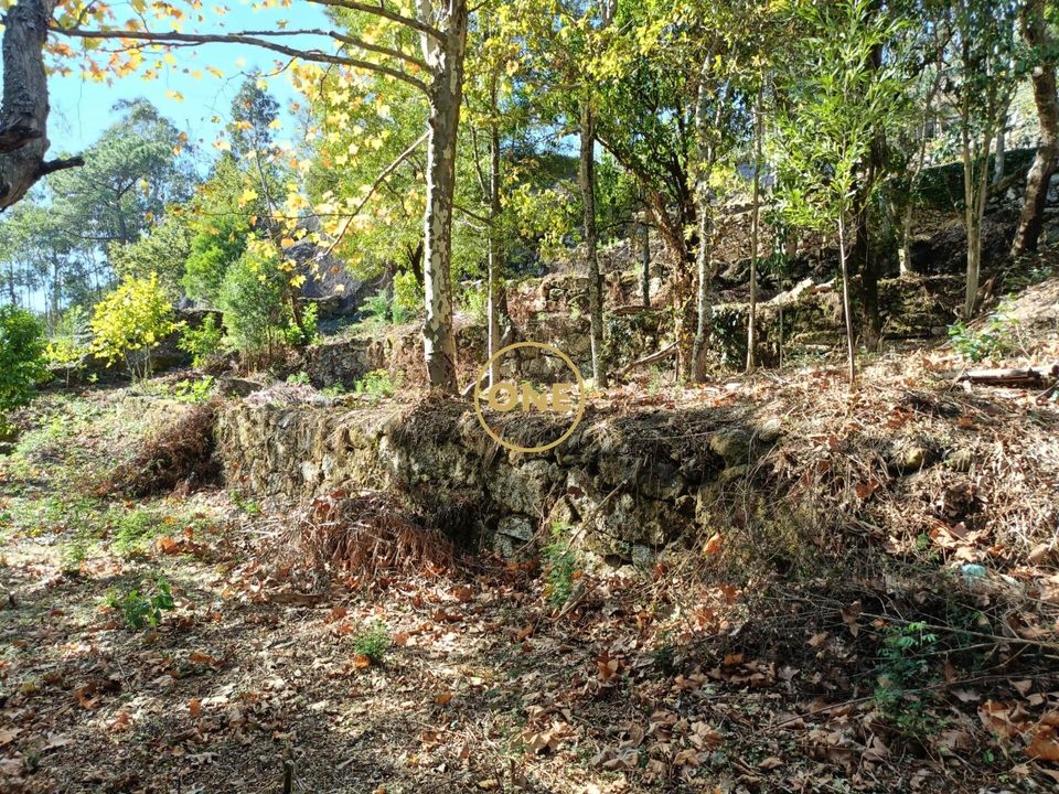 Helårsgrund i Terras de Bouro, Braga - foto 4