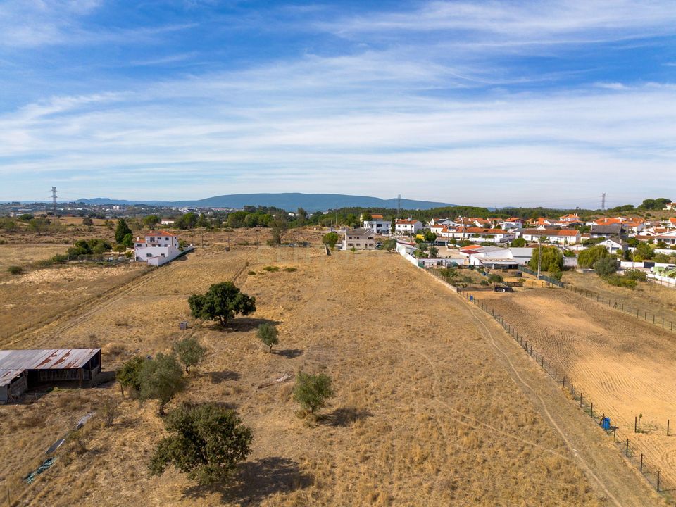 Villa i Torres Novas, Santarem - foto 5