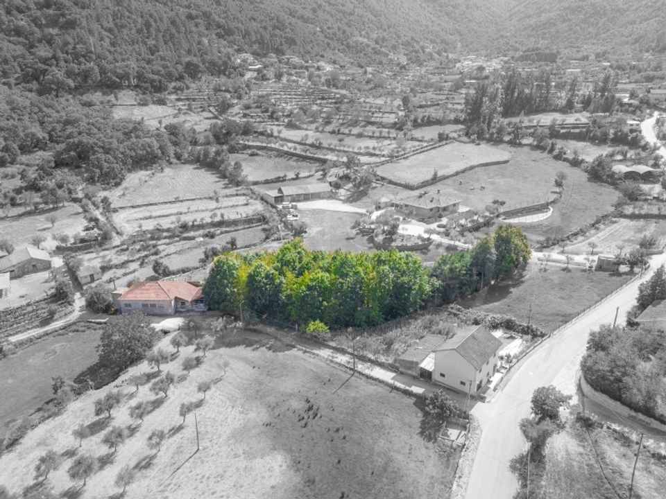 Erhvervsejendom i Vila Pouca de Aguiar, Vila Real - foto 3