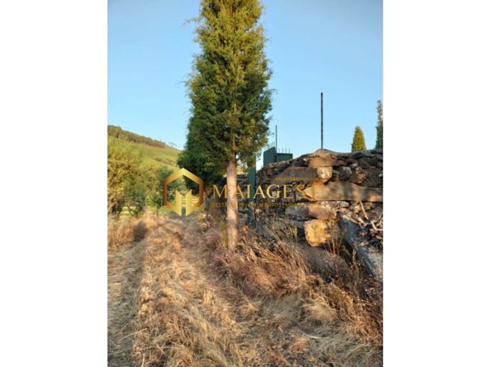 Helårsgrund i Freixo de Espada a Cinta, Braganca - foto 5