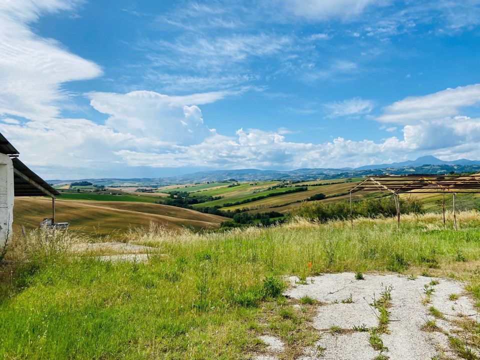 Landejendom i Belvedere Ostrense, Ancona - foto 2