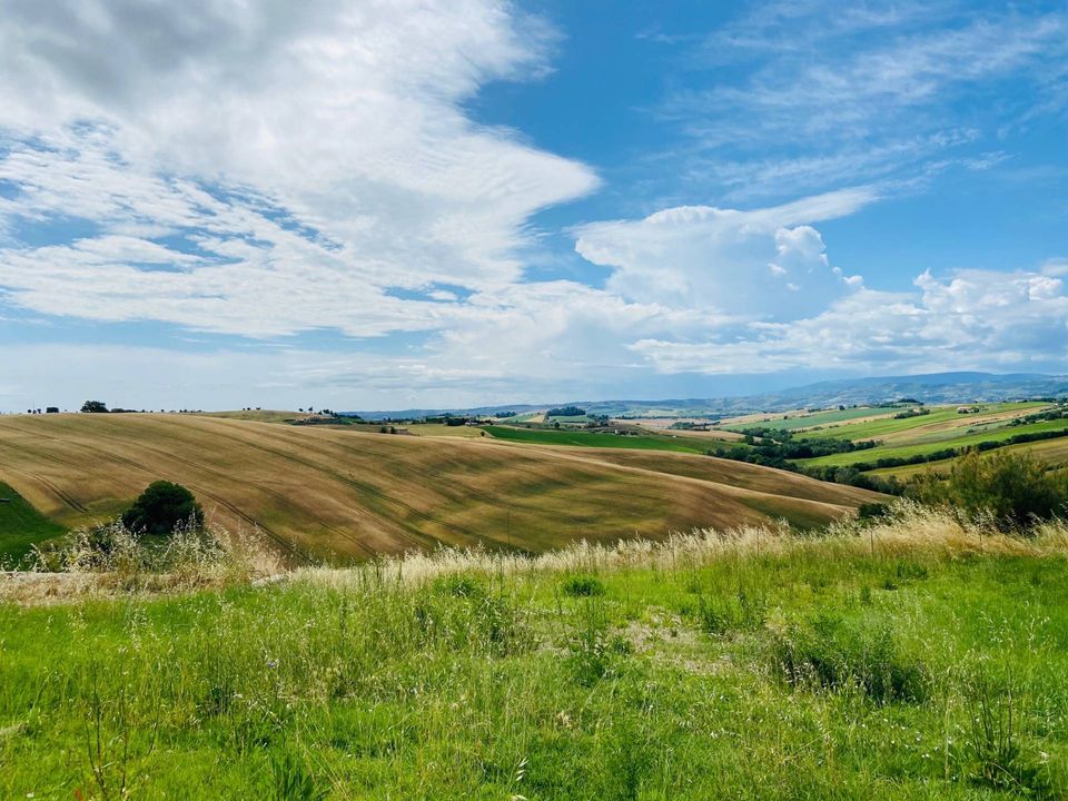 Landejendom i Belvedere Ostrense, Ancona - foto 5