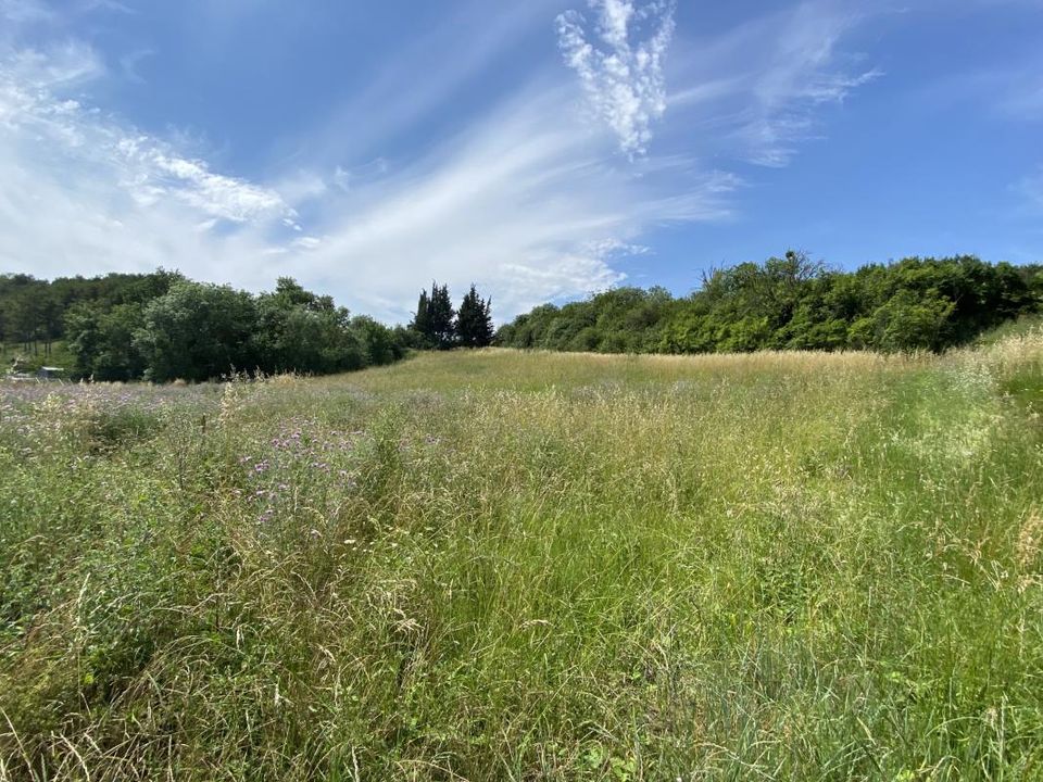 Helårsgrund i Lauraguel, Aude - foto 2