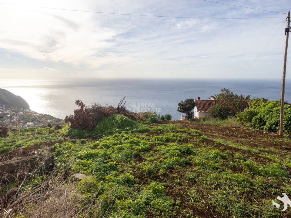 Helårsgrund i Calheta, Madeira - foto 4